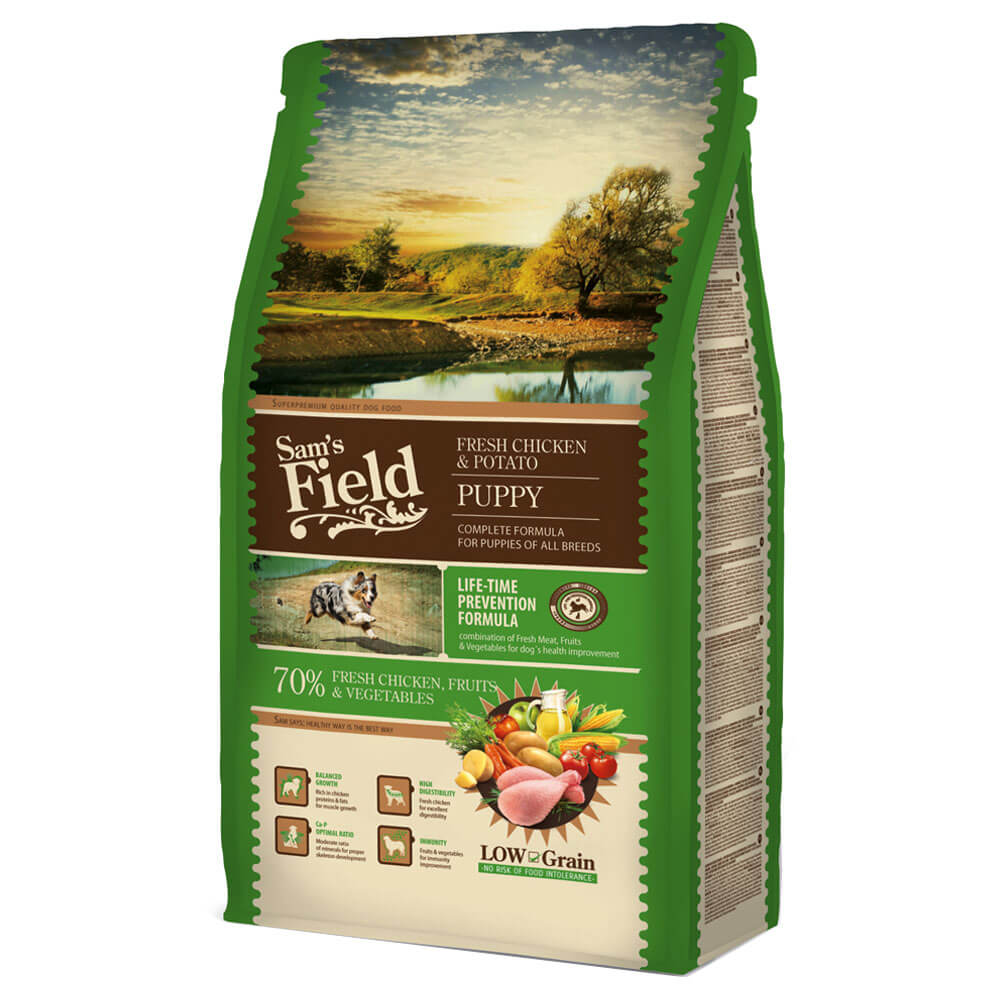 Sams-Field-Puppy