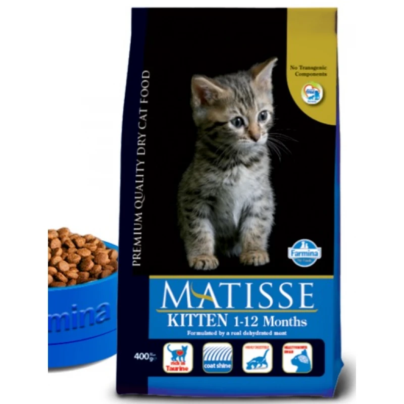petshop88-image-2016-01-10,-21.38.15-800x800h